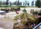 Wilcommen, No. 0064 Beach Road Fiesta Stands, Saipan